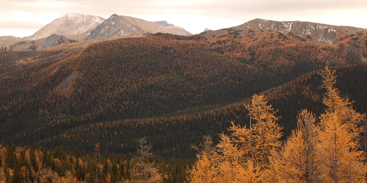 There are some other ridges here worth exploring in the future...