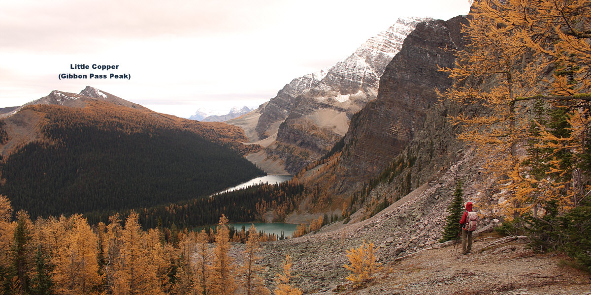 Was it worth it to come here?