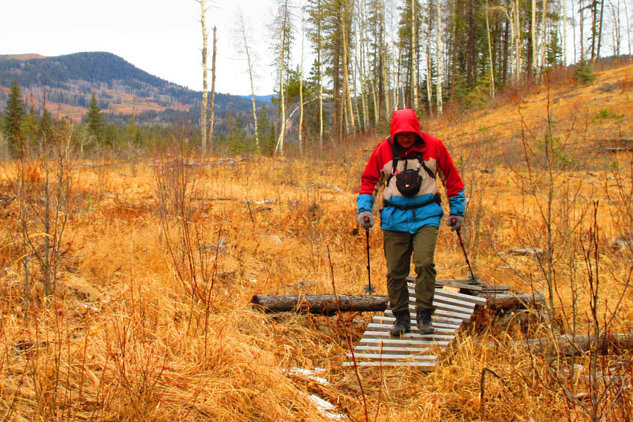 Careful you don't get your foot stuck!