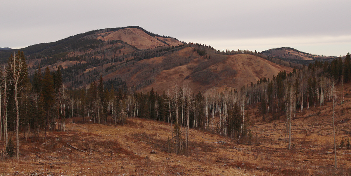 Seemingly a mountain in this neck of the woods!