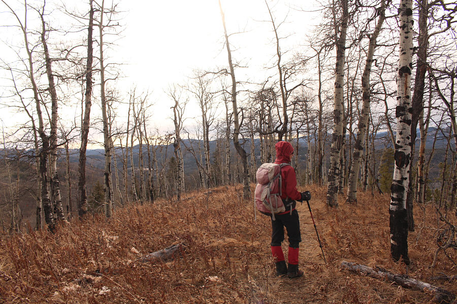 I guess we missed out on all the fall colours here.