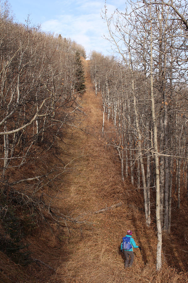 Glad we're not climbing up here!