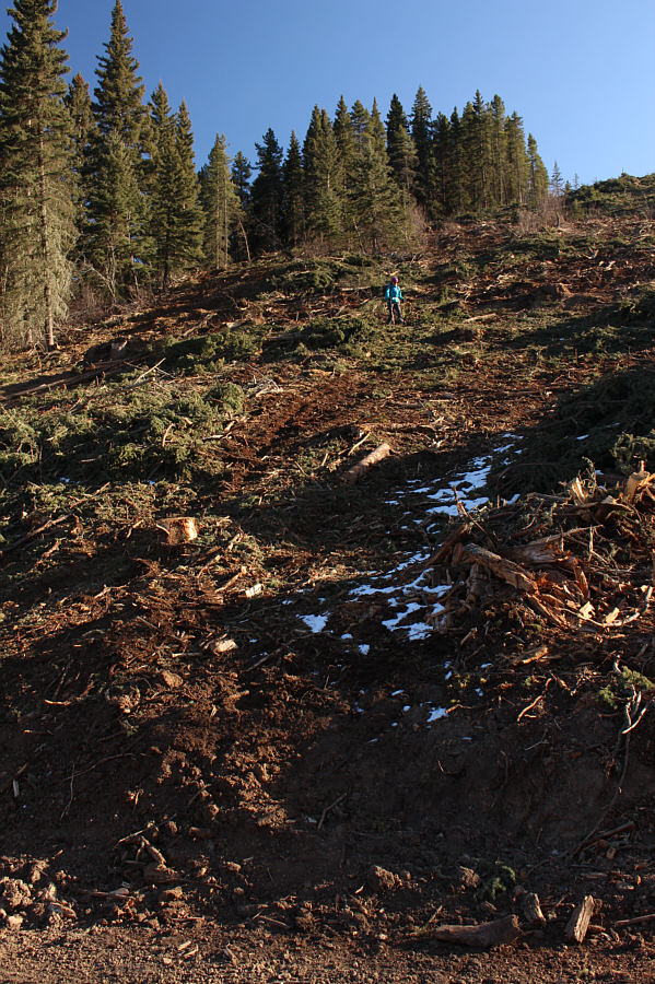 At least there's no bushwhacking!