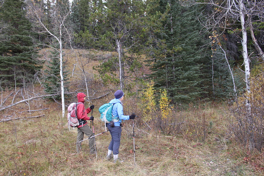 Need a cairn or some flagging here!