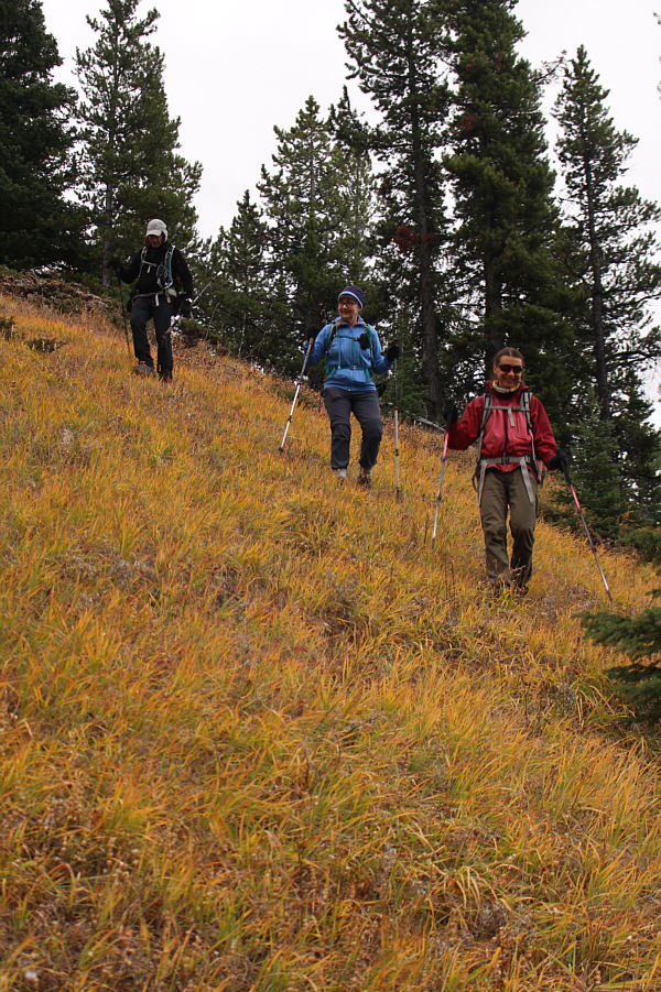 Not much to see so far, but this grass is a nice colour!