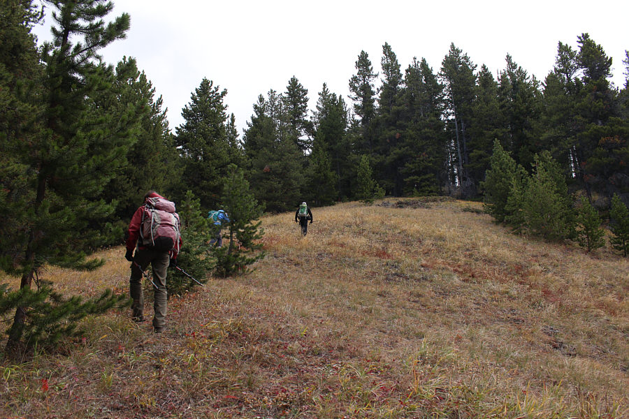 Turn around here for some views.