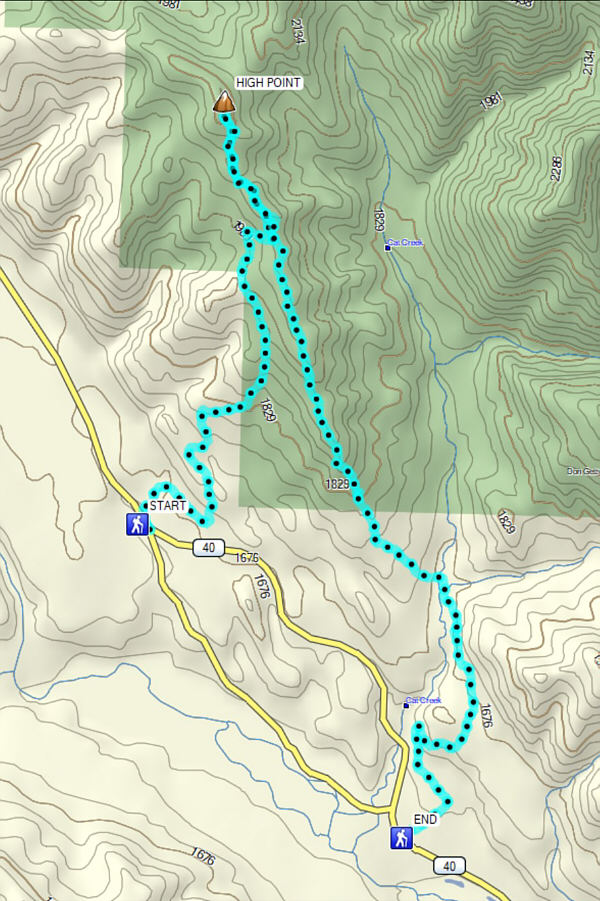 A nice romp for some exercise and not much more.