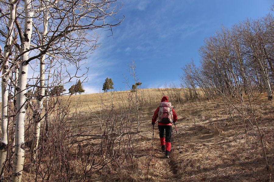 A good place as any to start hiking.