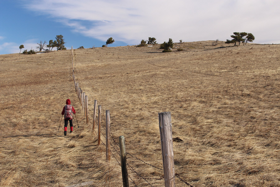 Still no "No Trespassing" signs!