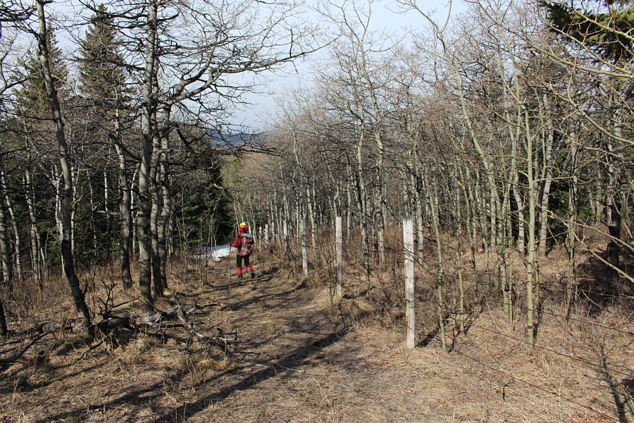 It gets boggy later too!