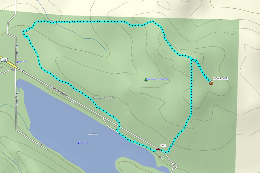 A thoroughly enjoyable walk through a neglected part of the park.