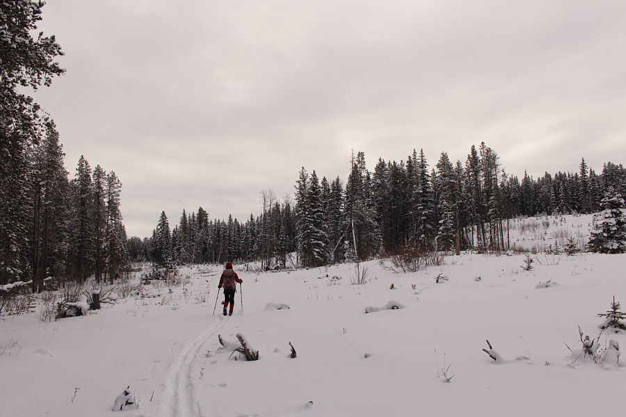 Be patient. Stay left here.