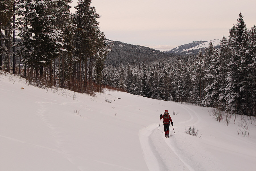 It must be our lucky day!