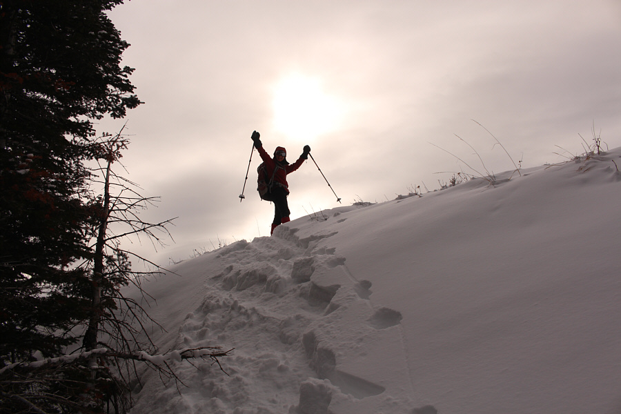 We definitely took the wrong route up!