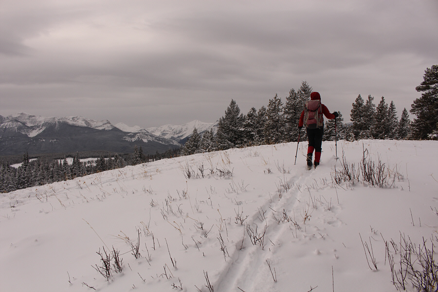 We almost didn't bother coming here!