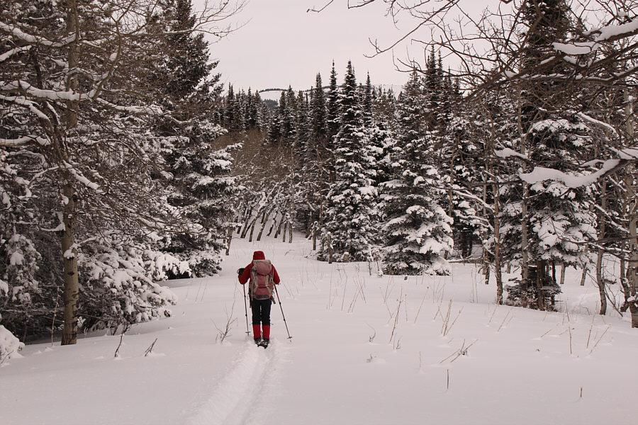 It looks flat here, but this was actually a downhill section!