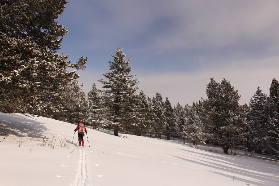 And the snow was pretty good here too!