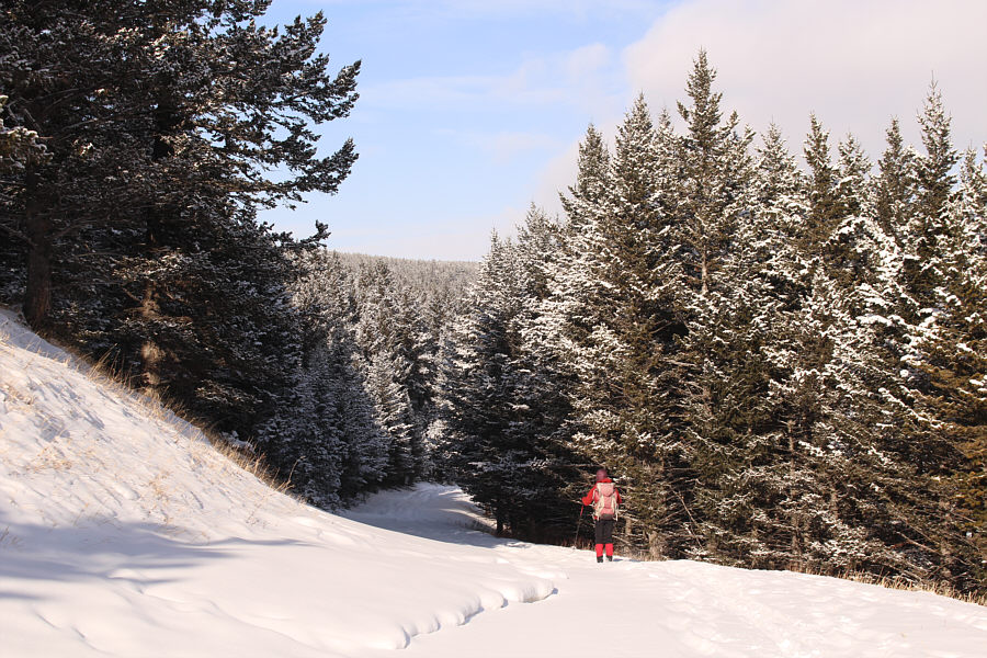 Best skiing of the day right here!