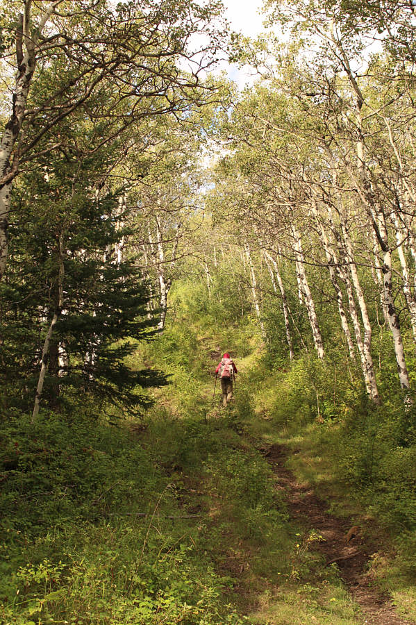 Take a left at the next intersection...trust me!