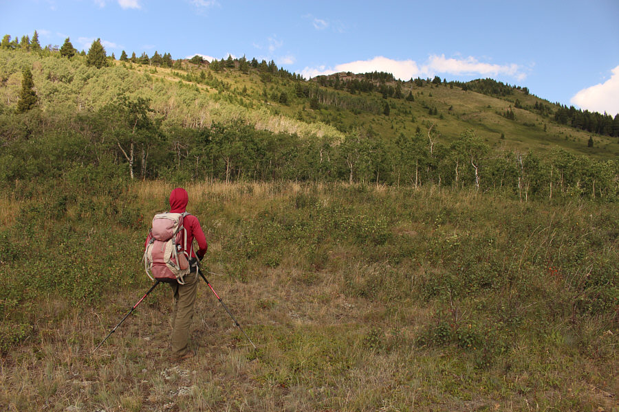 Oh well, just suck it up, I guess!