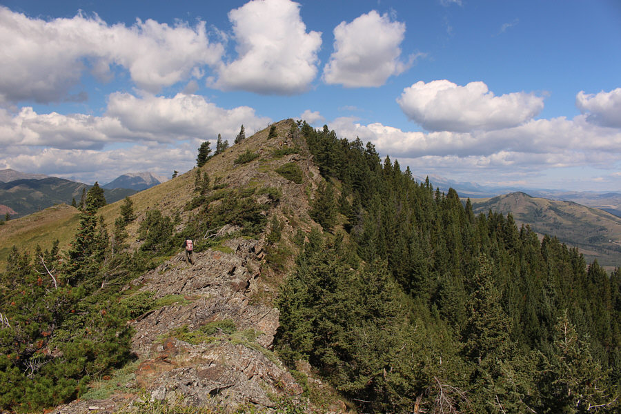 It took us about 90 minutes to climb up Blue Mountain.