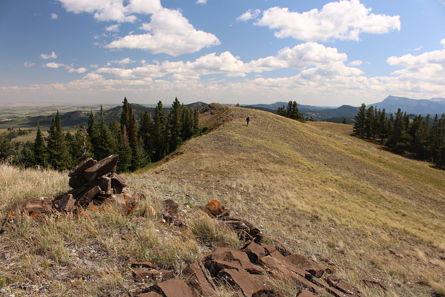 It was a lot of work to get here!