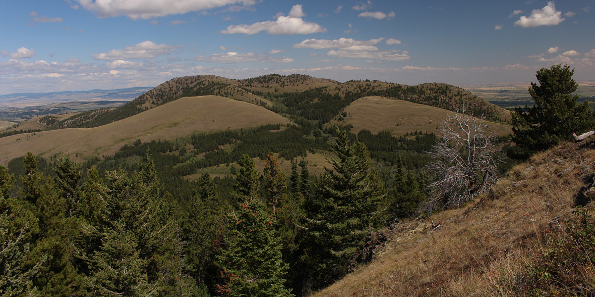 Doesn't look very blue to me!