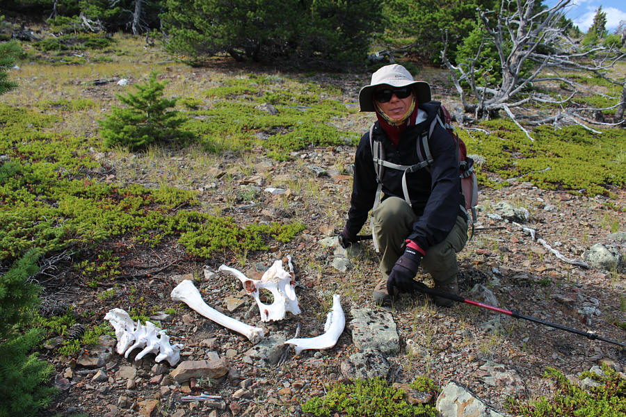 The hip bone connected to the...leg bone...