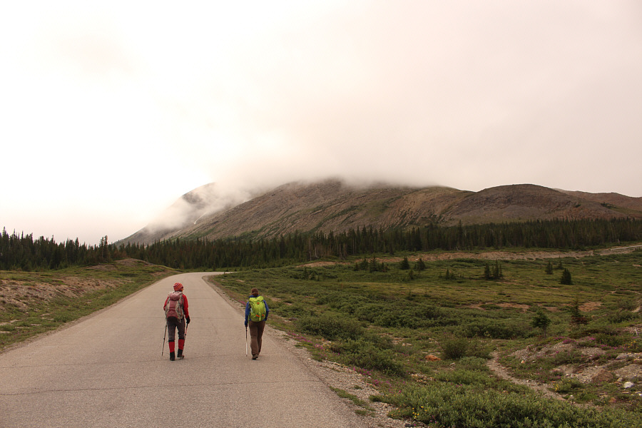 I wonder if they allow bicycles on this road...