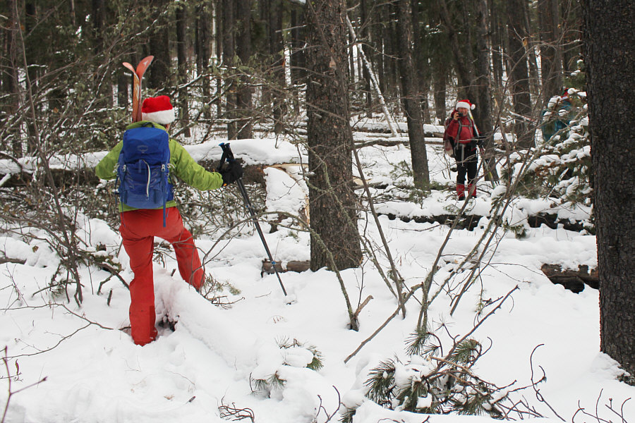 Someone needs to come through here with a chainsaw...