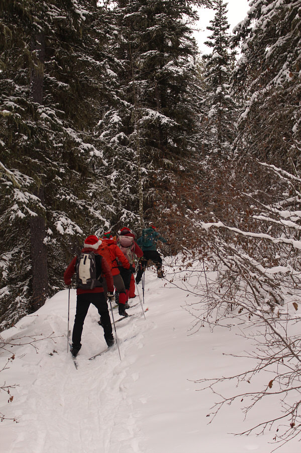 Looks kinda like a human centipede!