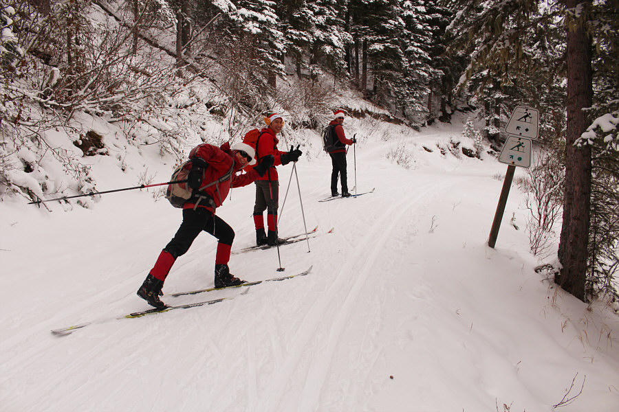 Two roads diverged in a yellow wood...