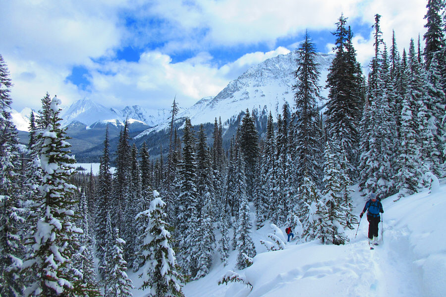 A much easier climb with AT gear vs. light touring gear (especially light touring gear without skins!)