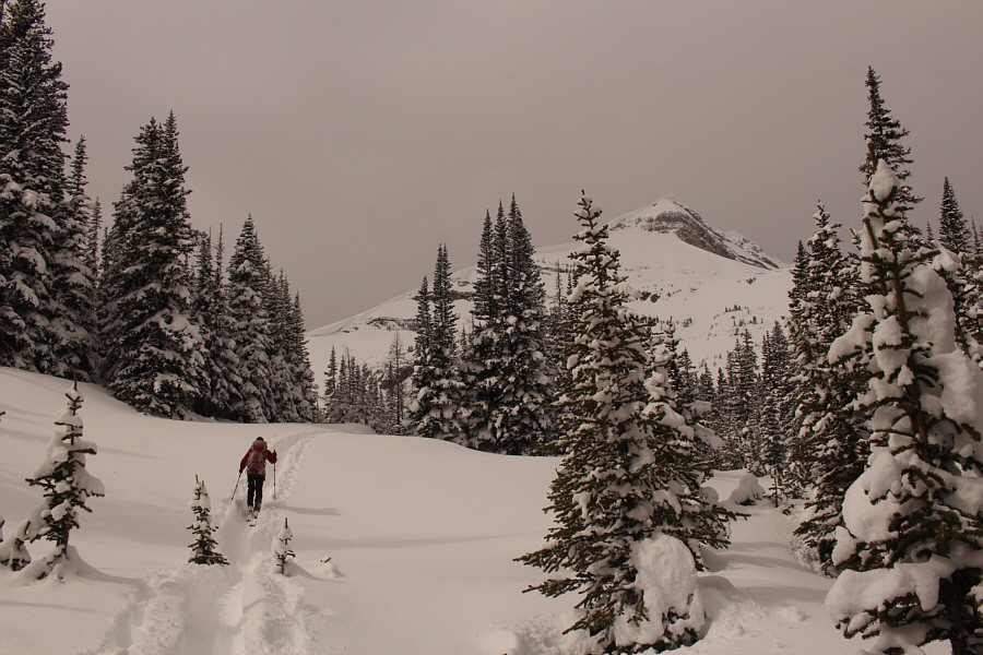 Hmmm...there goes our sunshine!