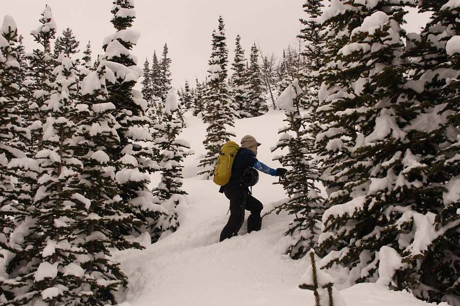 Glad we're not breaking trail here!