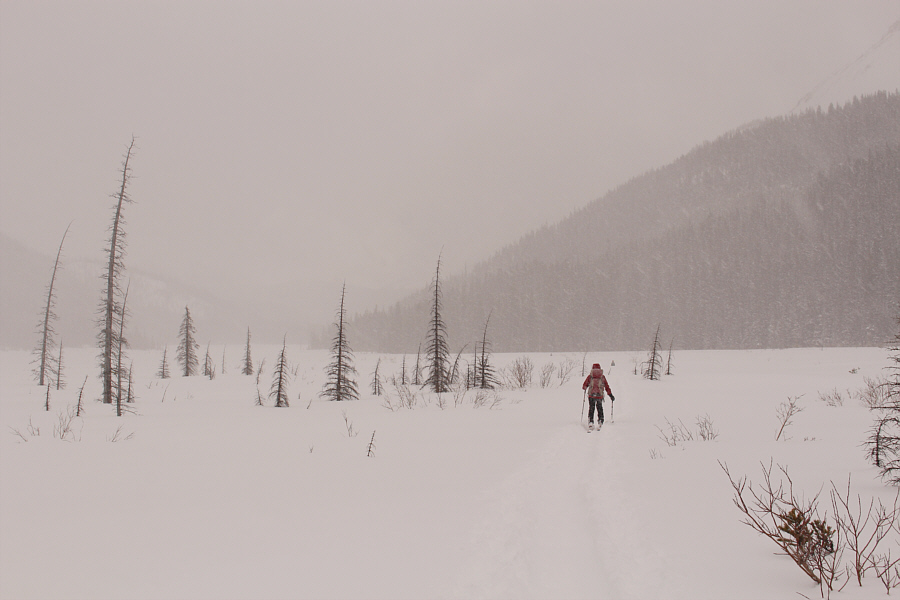 Did I mention the return ski along Burstall Pass trail sucks ass?