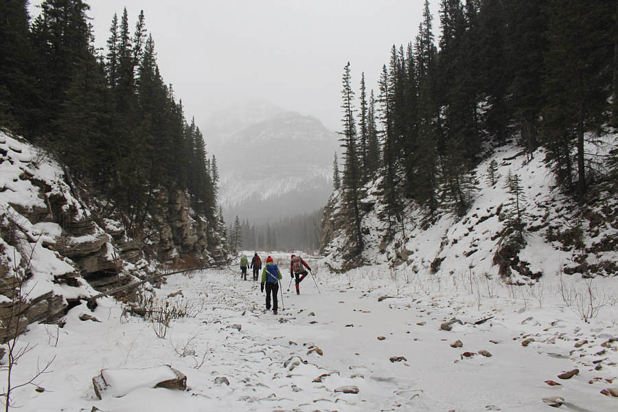 Zosia appears as if she stepped in some dog shit!