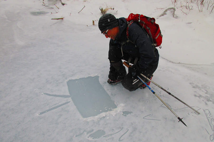 I wonder if his favourite wrestler is The Iron Sheik...