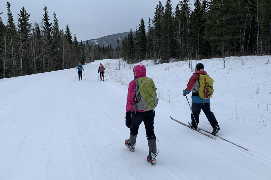 But skiing is so much more fun!