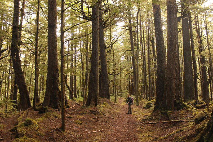 Try not to wander too far off the trail...