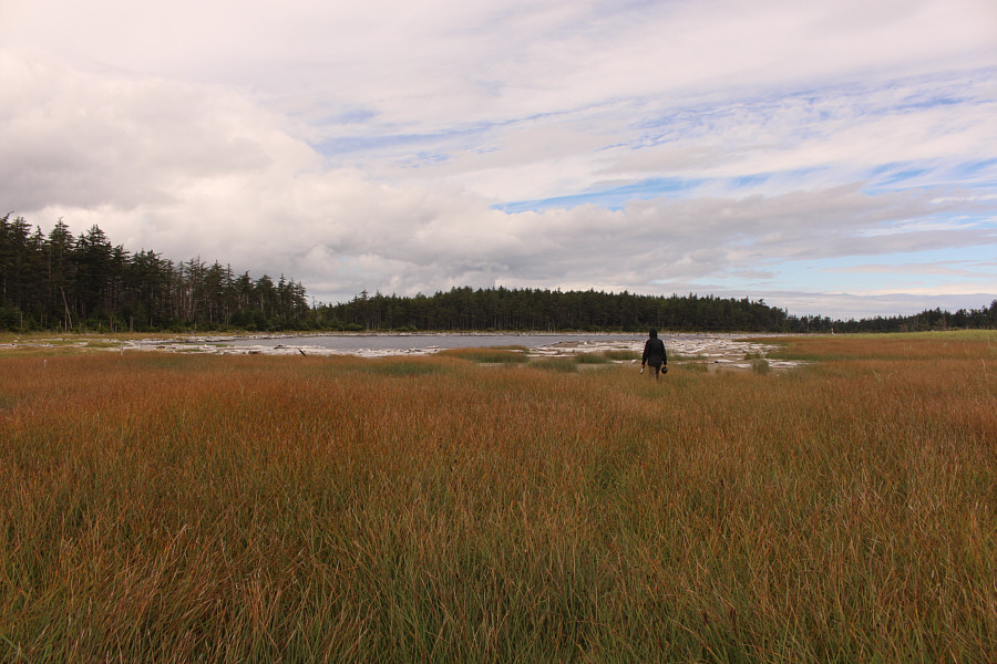 Lots of deer poop and garbage hidden in the grass...watch your step!