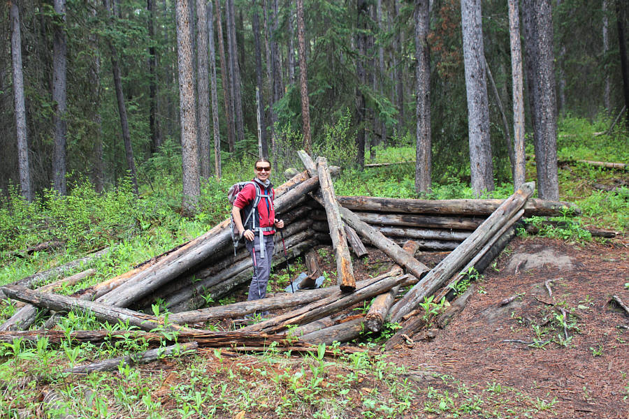 Needs a bit of TLC, I think!