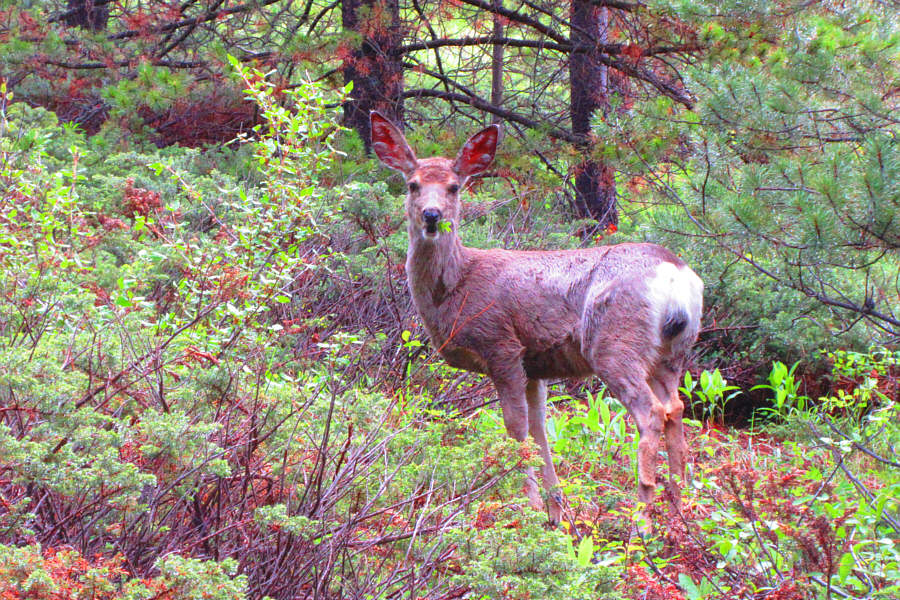 Must be good eating here!
