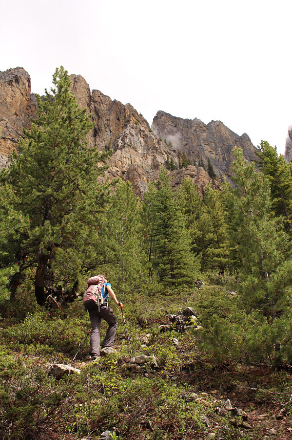 This is all new terrain for me!