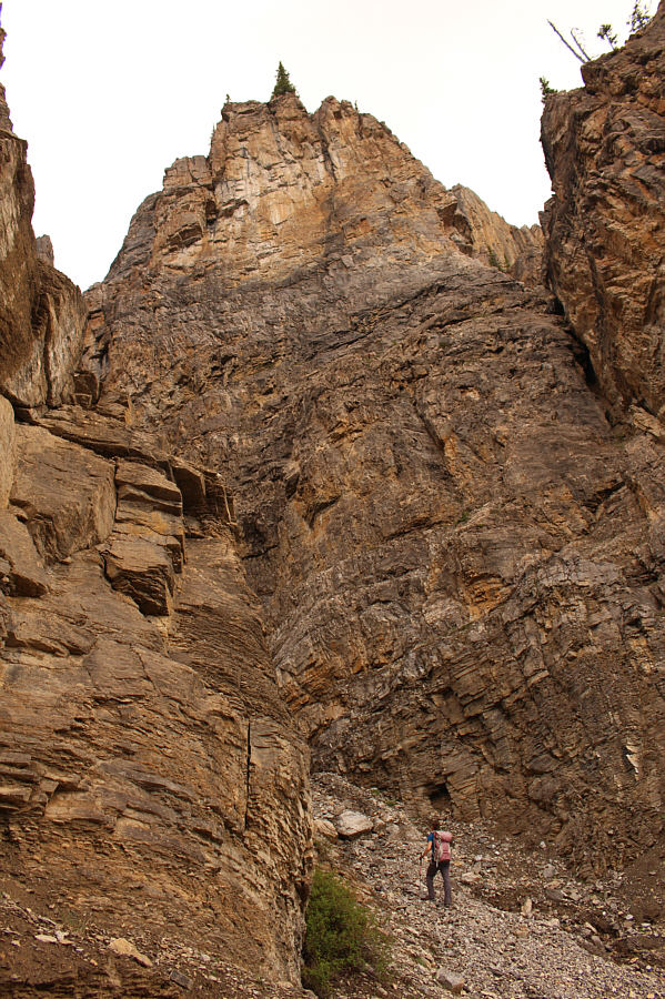 This is probably not the correct route to reach the ACC hut!