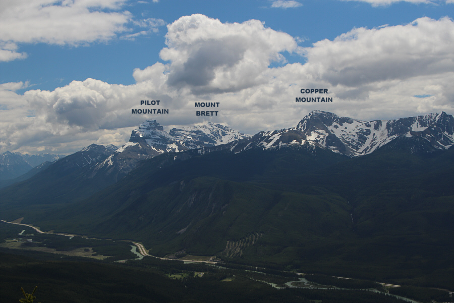 None appear to be in shape for scrambling just yet!