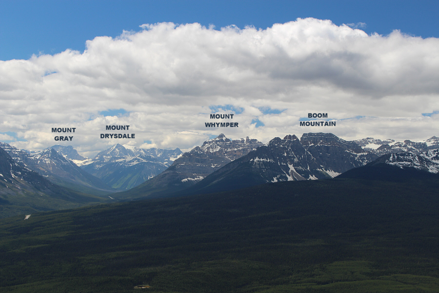 Andrew Nugara has done Drysdale, but I don't know of anyone who has climbed Gray...