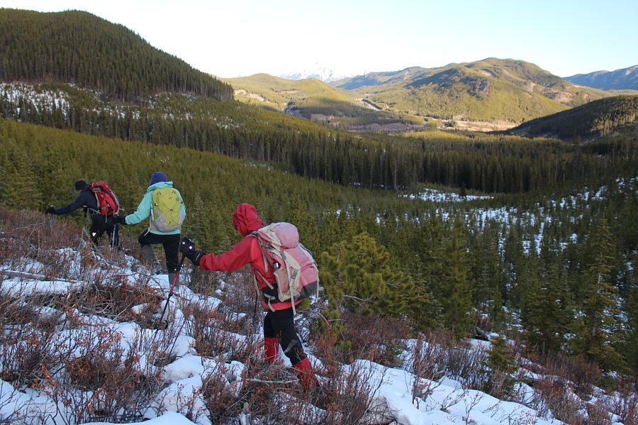 Maybe we should stay out of the cut blocks...