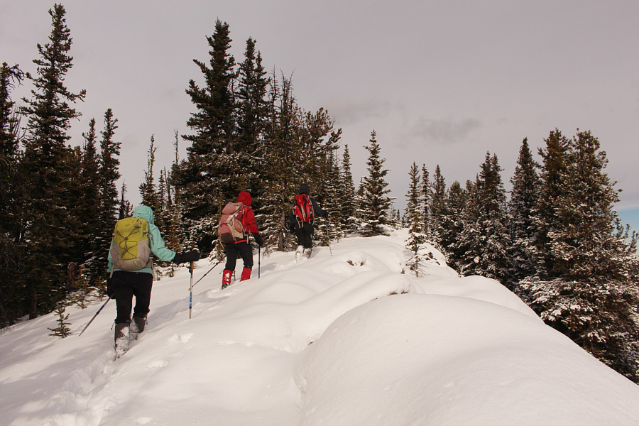 The high point is sometimes not the best point!