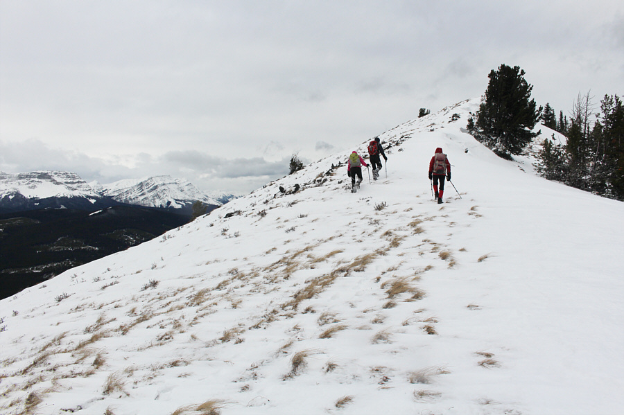 The wind is brutally cold here!